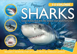 3-D Explorer: Sharks 
