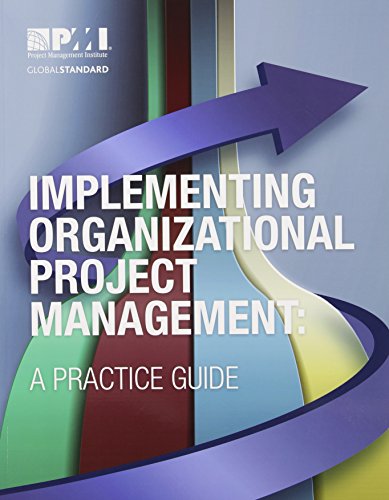 Implementing Organizational Project Management