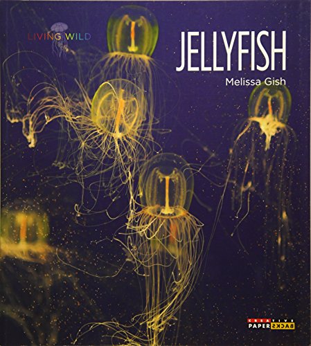Jellyfish