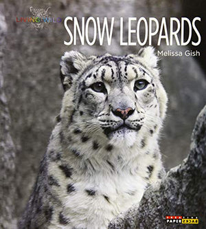 Snow Leopards