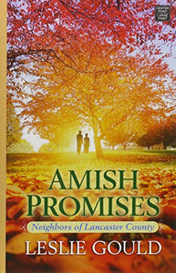Amish Promises 