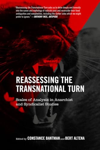 Reassessing the Transnational Turn