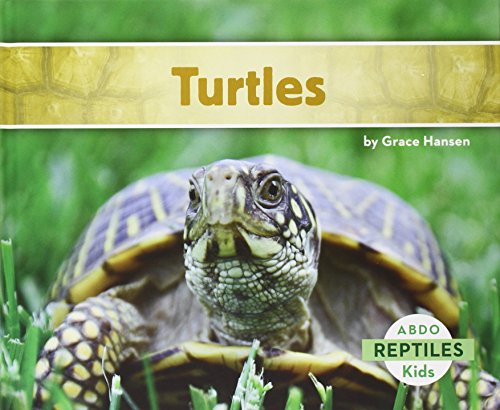 Turtles