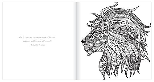 The Promises of God Adult Coloring Book
