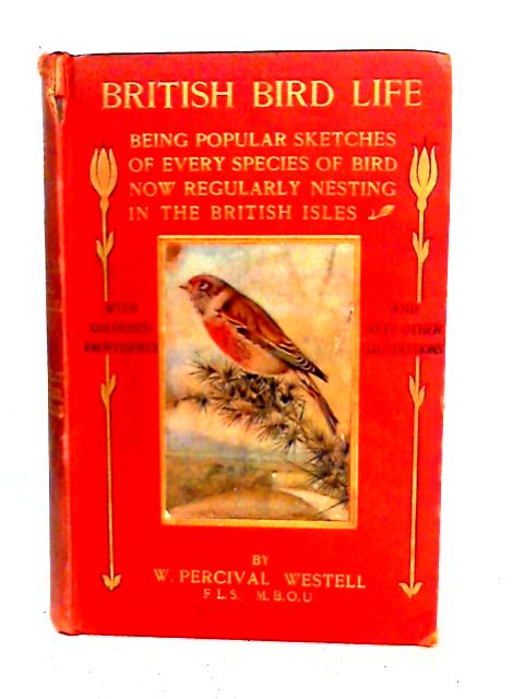 British Bird Life