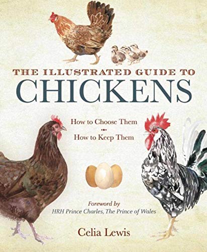 The Illustrated Guide to Chickens