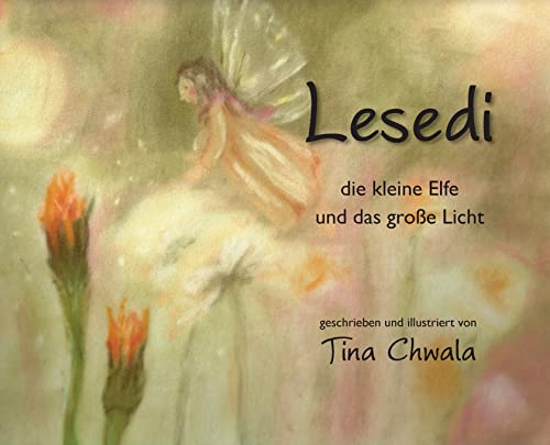 Lesedi die kleine Elfe und das grosse Licht