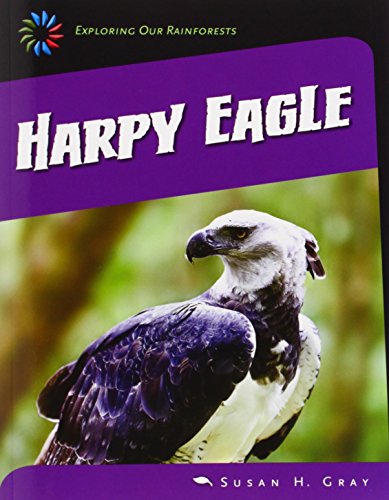 Harpy Eagle