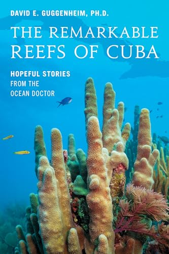The Remarkable Reefs Of Cuba
