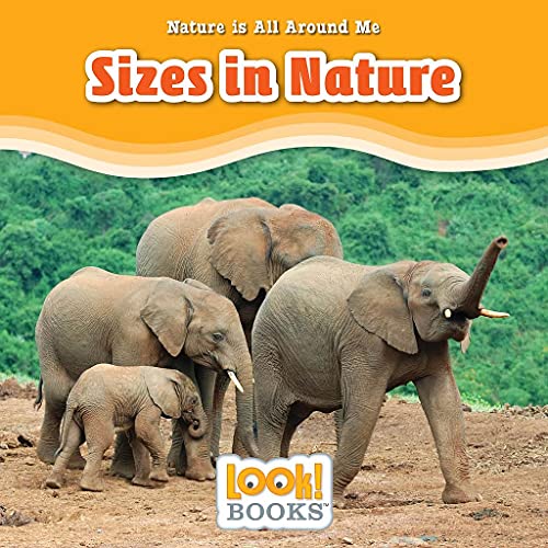 Sizes in Nature