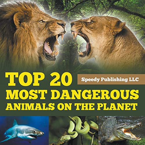 Top 20 Most Dangerous Animals On The Planet