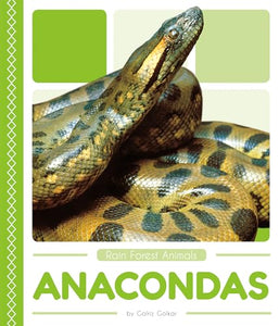 Rain Forest Animals: Anacondas 
