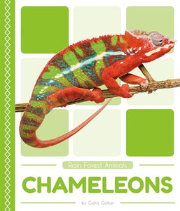 Rain Forest Animals: Chameleons 