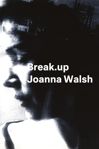 Break.up - A Novel in Essays