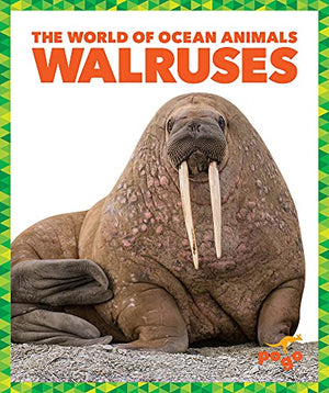 Walruses