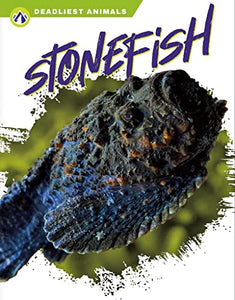 Deadliest Animals: Stonefish 