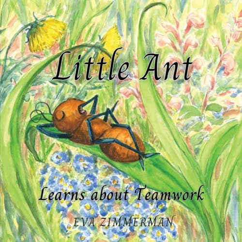 Little Ant