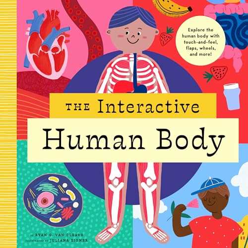 The Interactive Human Body