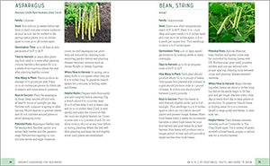 Organic Gardening for Beginners