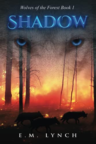 Shadow