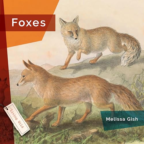 Foxes