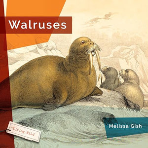 Walruses