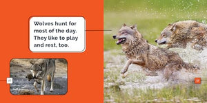 Wolves