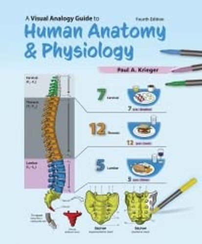 A Visual Analogy Guide to Human Anatomy and Physiology, 4th Edition
