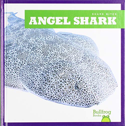 Angel Shark