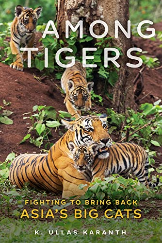 Among Tigers