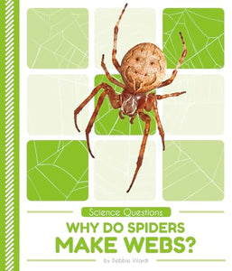 Science Questions: Why Do Spiders Make Webs? 