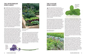 Essential Aromatherapy Garden 