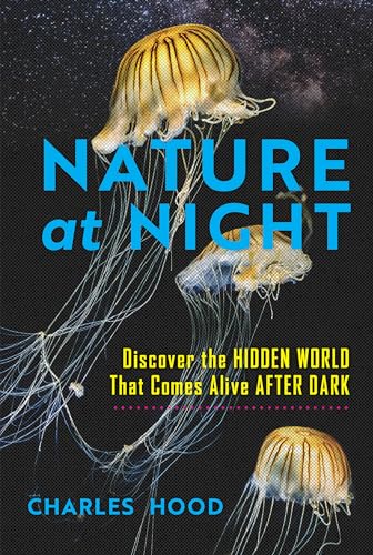 Nature at Night