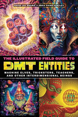 The Illustrated Field Guide to DMT Entities