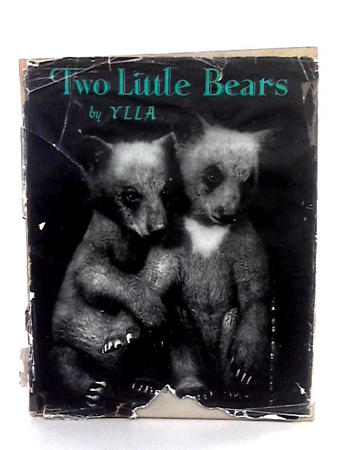 Two Little Bears