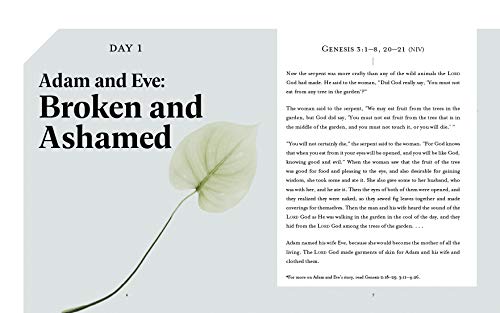 Beautifully Broken: Jesus Every Day Devotional Guide