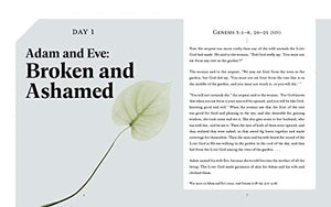 Beautifully Broken: Jesus Every Day Devotional Guide