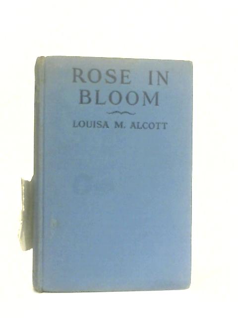 Rose in Bloom