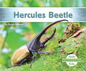 Hercules Beetle