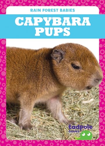 Capybara Pups