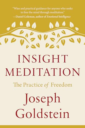 Insight Meditation