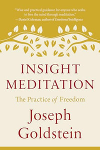 Insight Meditation 
