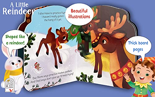 A Little Reindeer