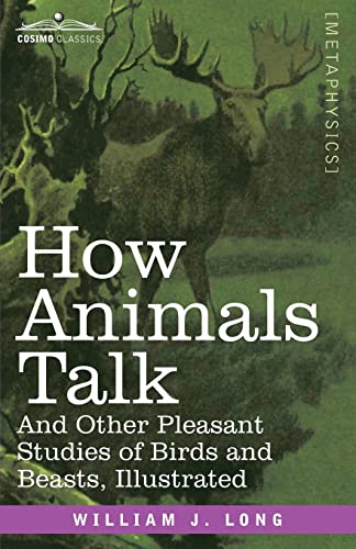 How Animals Talk