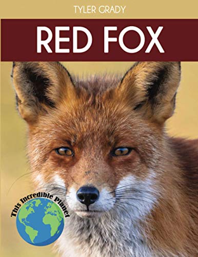 Red Fox