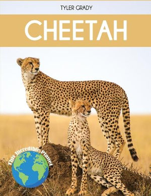 Cheetah