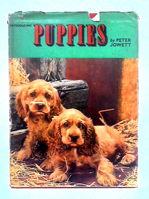 Introducing Puppies