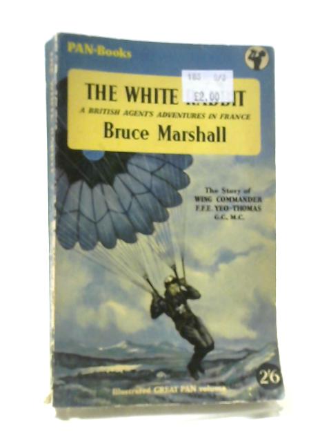 The White Rabbit