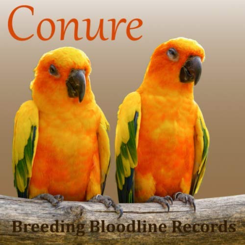 Conure Breeding Bloodline Records : Bird Breeding Records, Bird Supplies, Breeding Logbook, Notebook, Bird Books 8. 5 X 8. 5 100 Pages,aviary, Pedigree