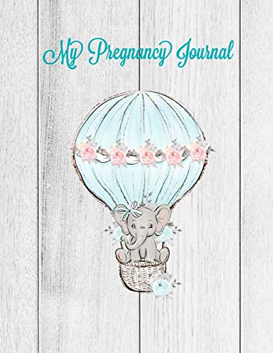 My Pregnancy Journal
